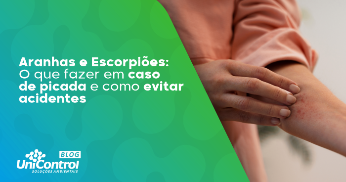 Aranhas-e-Escorpiões-O-Que-Fazer-em-Caso-de-Picada-e-Como-Evitar-Acidentes