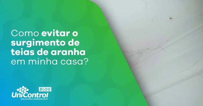 Como evitar o surgimento de teias de aranha em minha casa Unicontrol