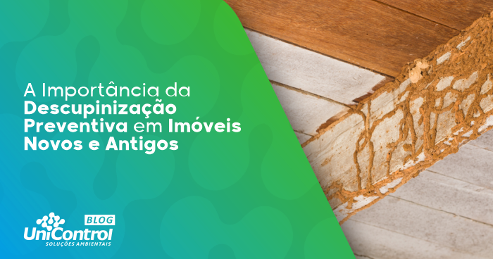 Descupinização-em-imoveis-novos