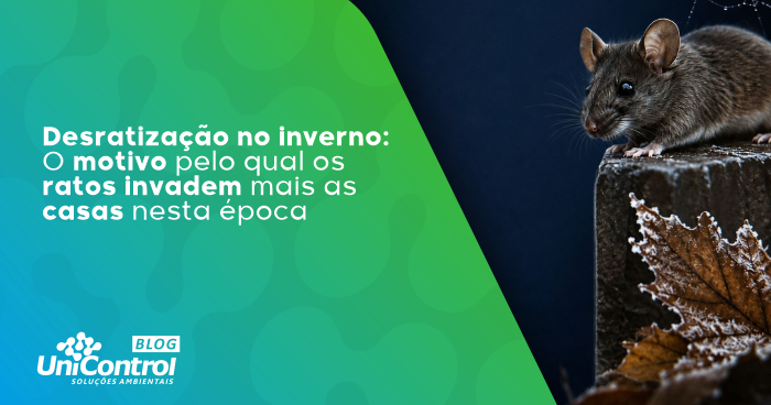 Desratização-no-inverno