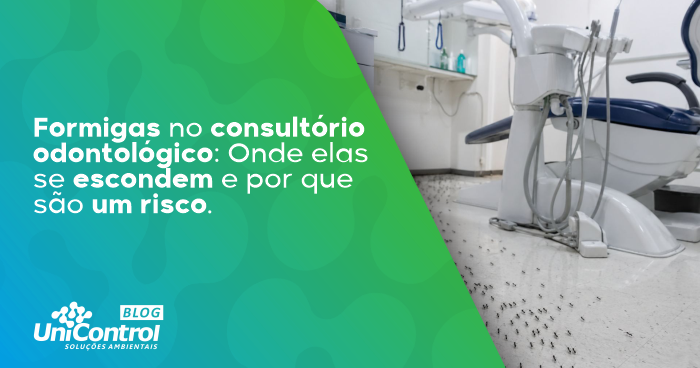 Formigas-no-consultório-odontológico