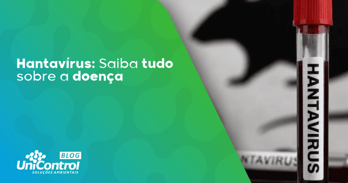 Hantavirus-tudo-que-você-precisa-saber