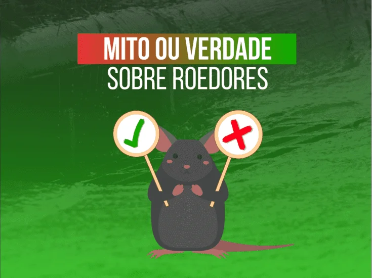 Mitos ou Verdades sobre Roedores