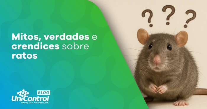 Rato-com-interrogação