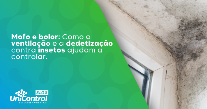 Mofo-e-Bolor-Como-a-Ventilação-e-a-dedetização-contra-insetos-ajudam