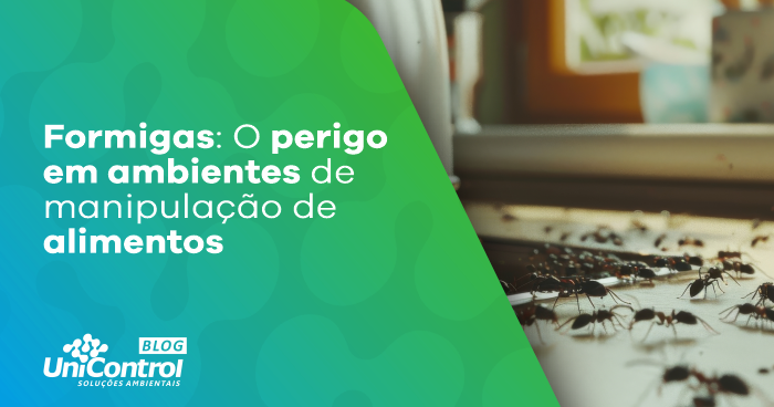 perigo-das-formigas-em-cozinhas-industriais