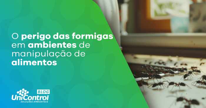 perigo-das-formigas-em-cozinhas-industriais