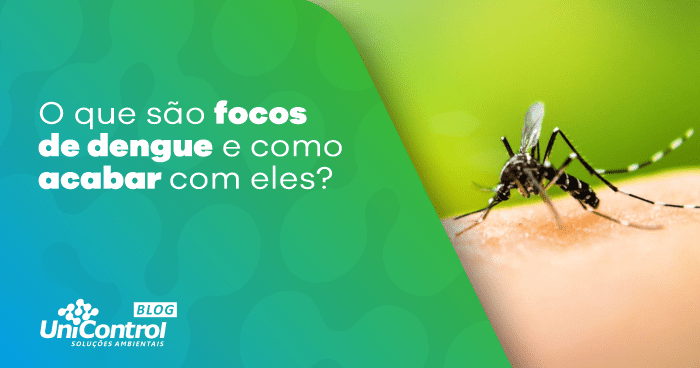 O que são focos de dengue e como acabar com eles?