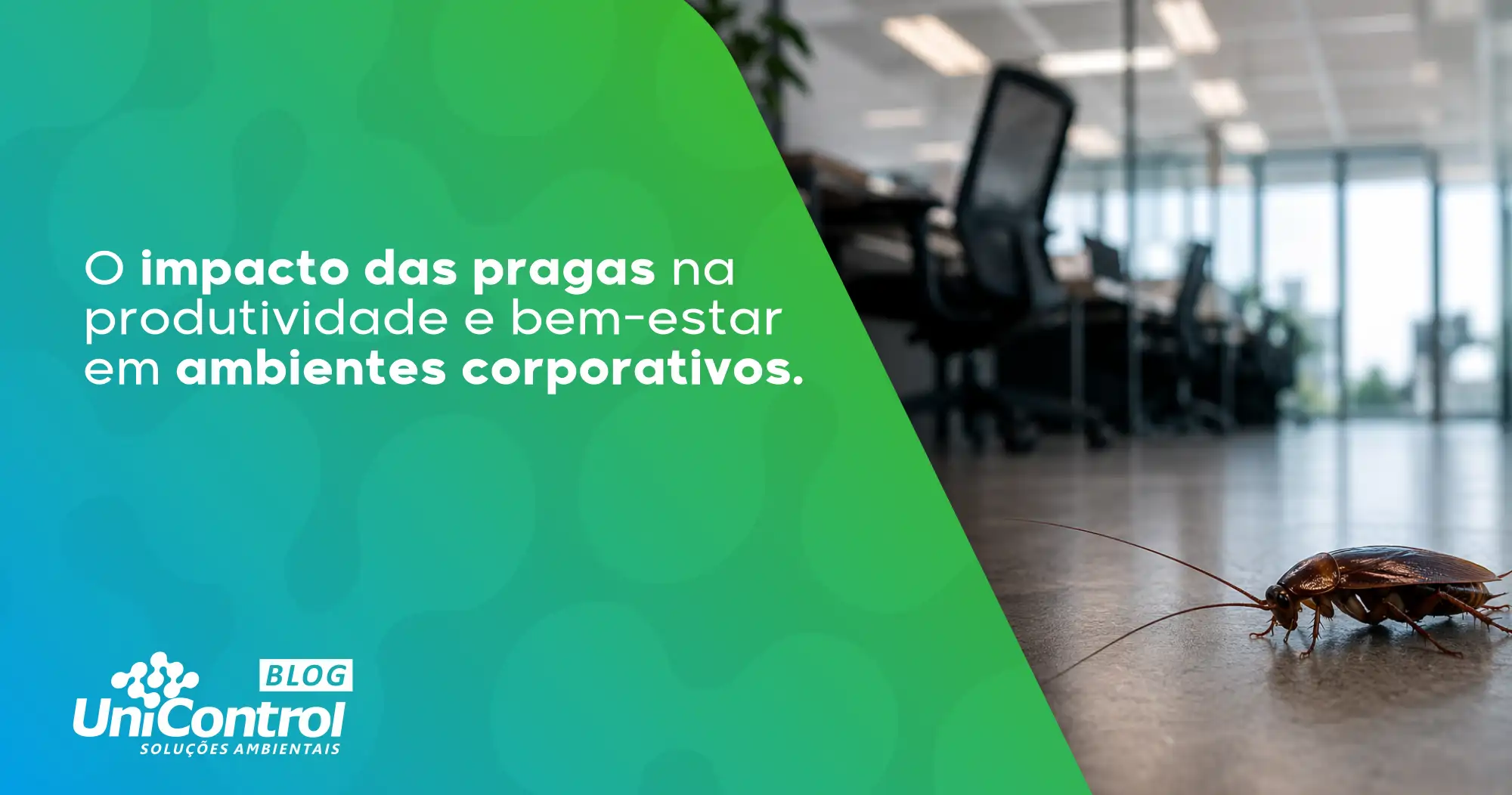 Pragas-em-ambientes-corporativos