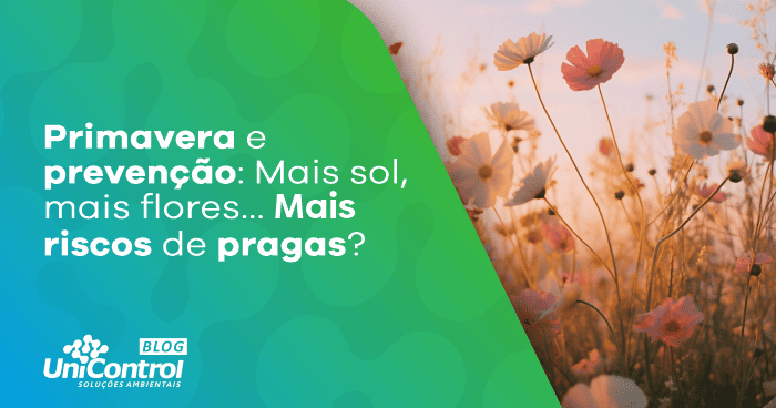 primavera-sem-pragas