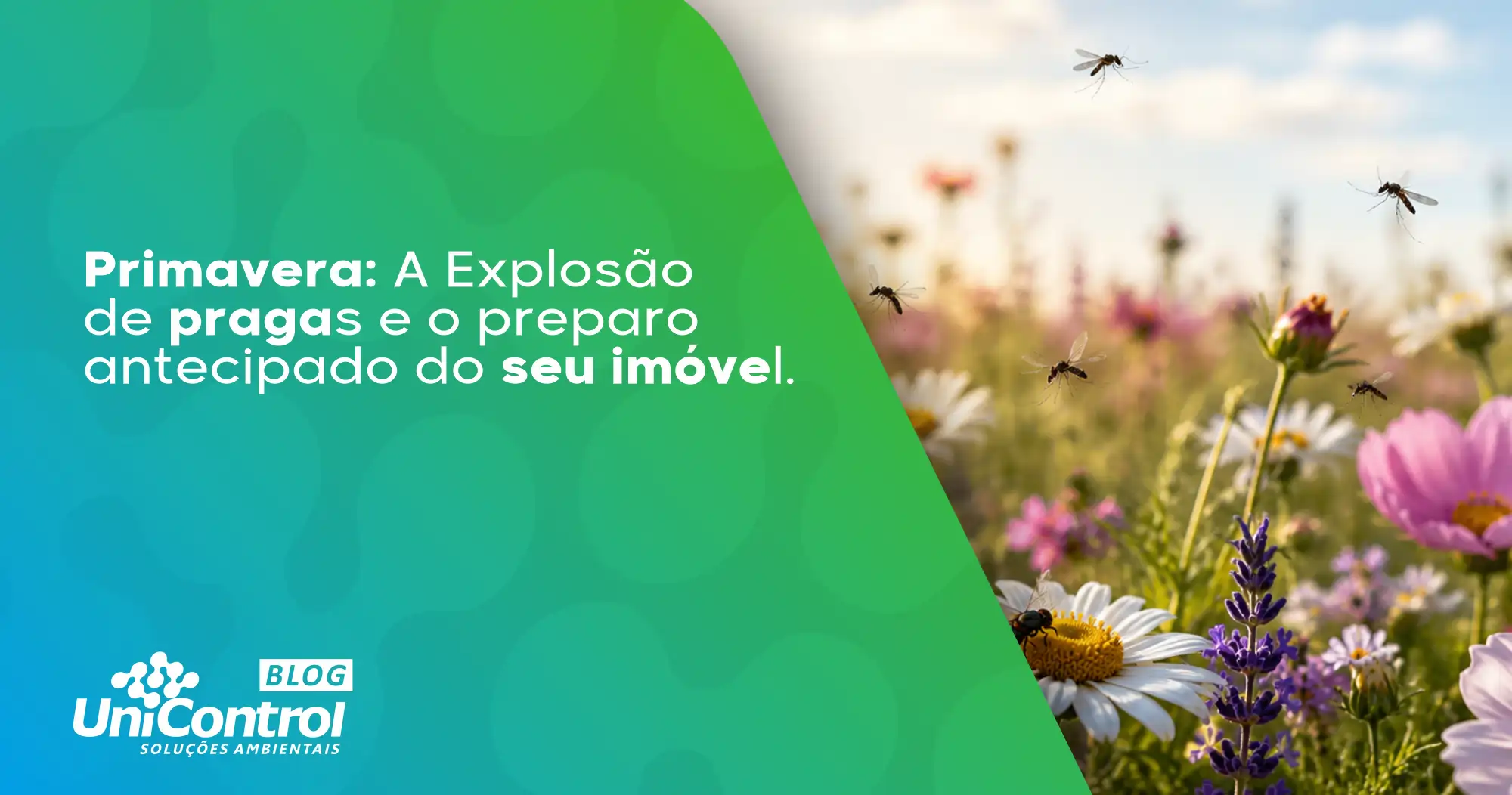 Por que a primavera favorece o aparecimento de pragas?