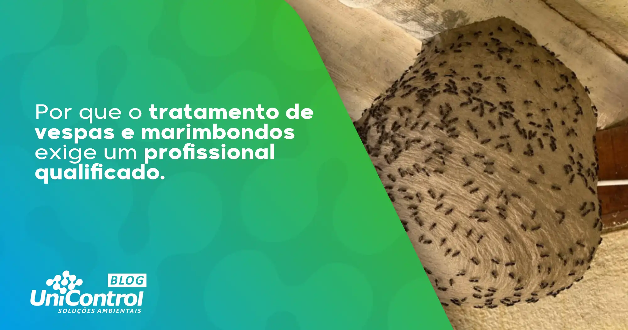 remoção-de-cachopa