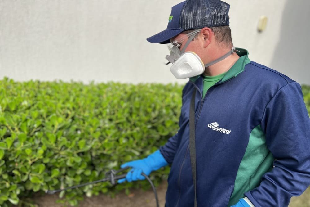 Controle de Pragas em Lojas