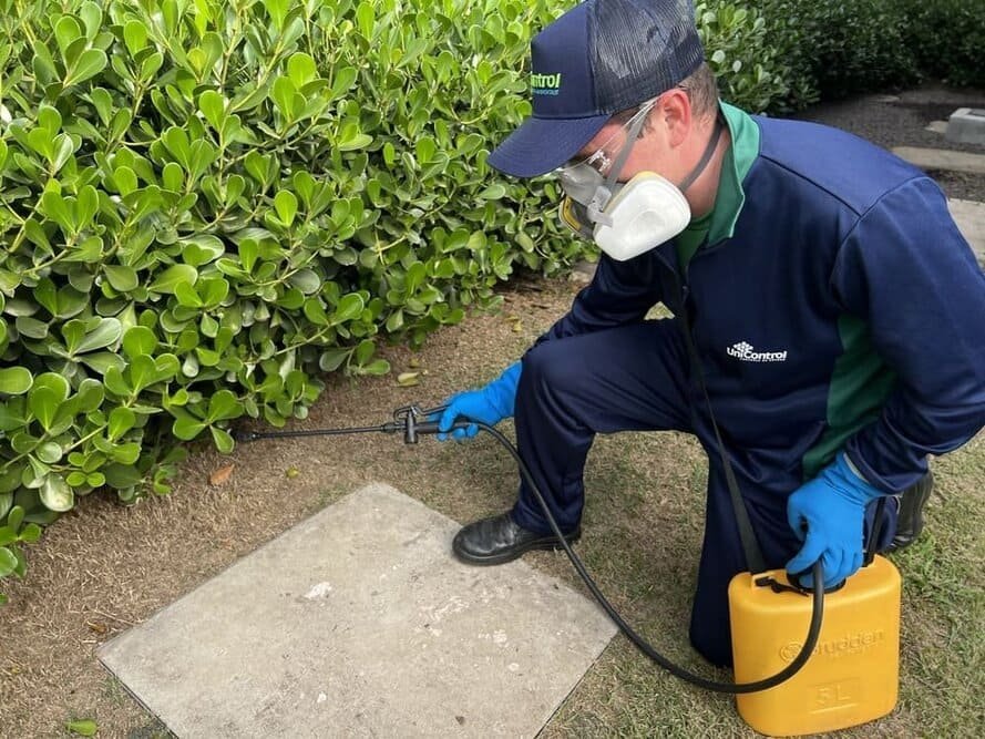 Controle de pragas para condomínios: como funciona?