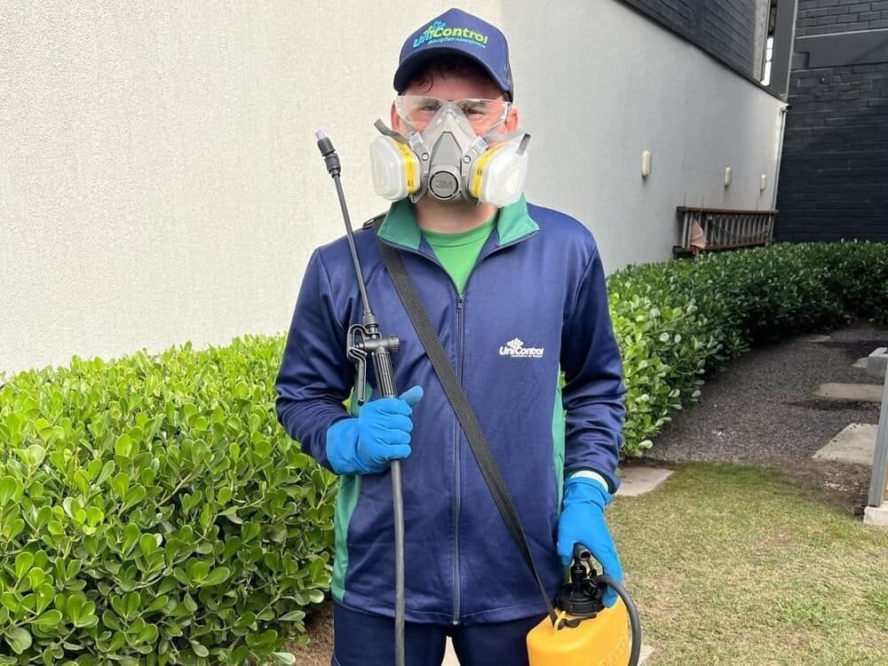 Desinsetizadora: quando contratar