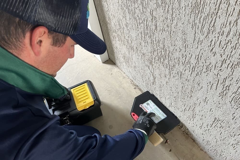Desratização através de controle mecânico
