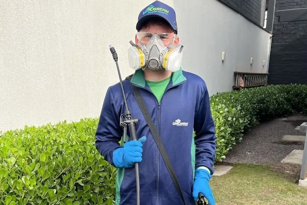 Empresa de Dedetização em Esteio