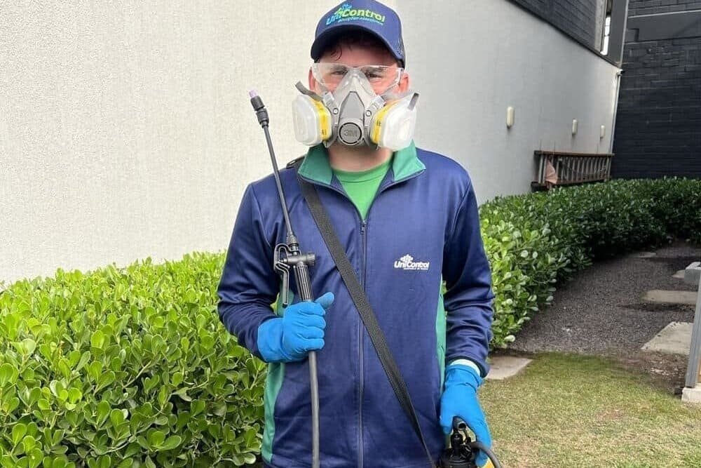 O que fazer antes e depois do serviço de Desratização