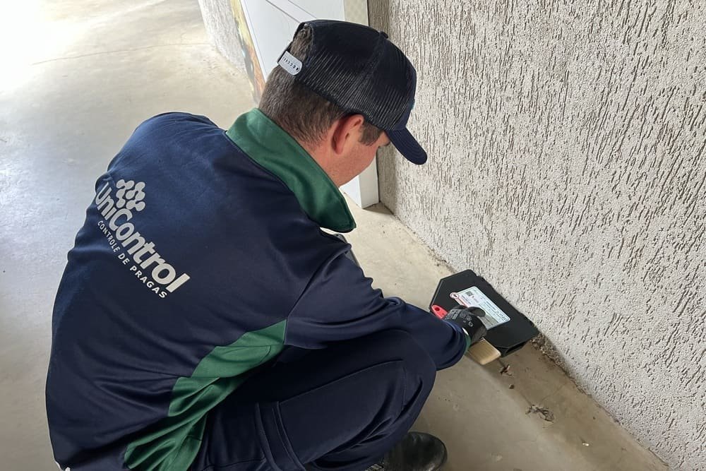 Preço de Desratização: Investindo na Segurança