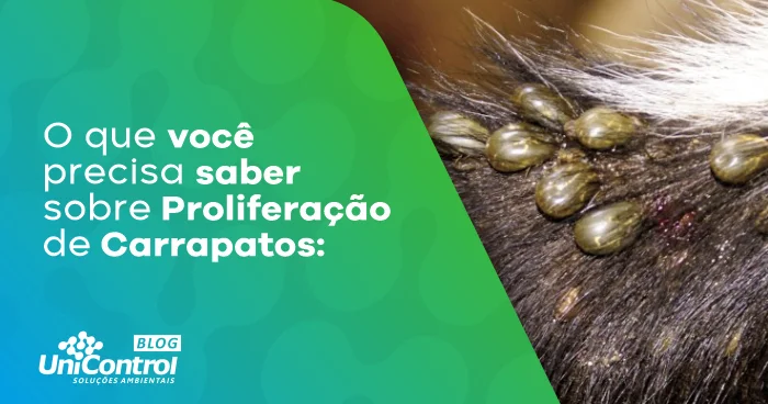 proliferação de Carrapatos