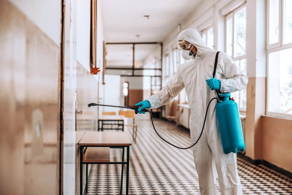 Quando Contratar um Serviço de Controle de Pragas?