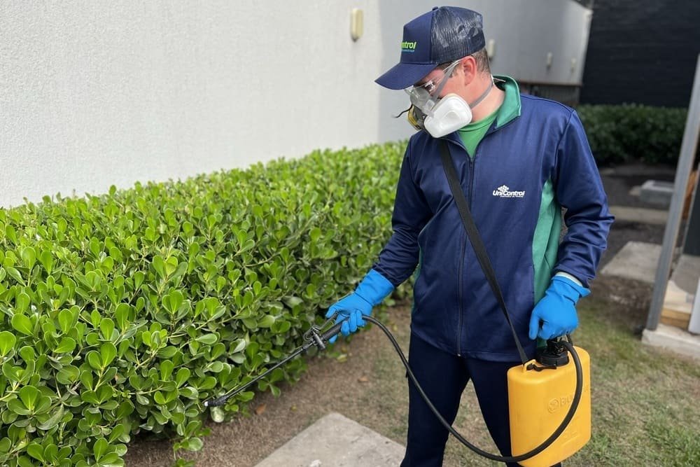 Serviço de Dedetização na Azenha em Porto Alegre