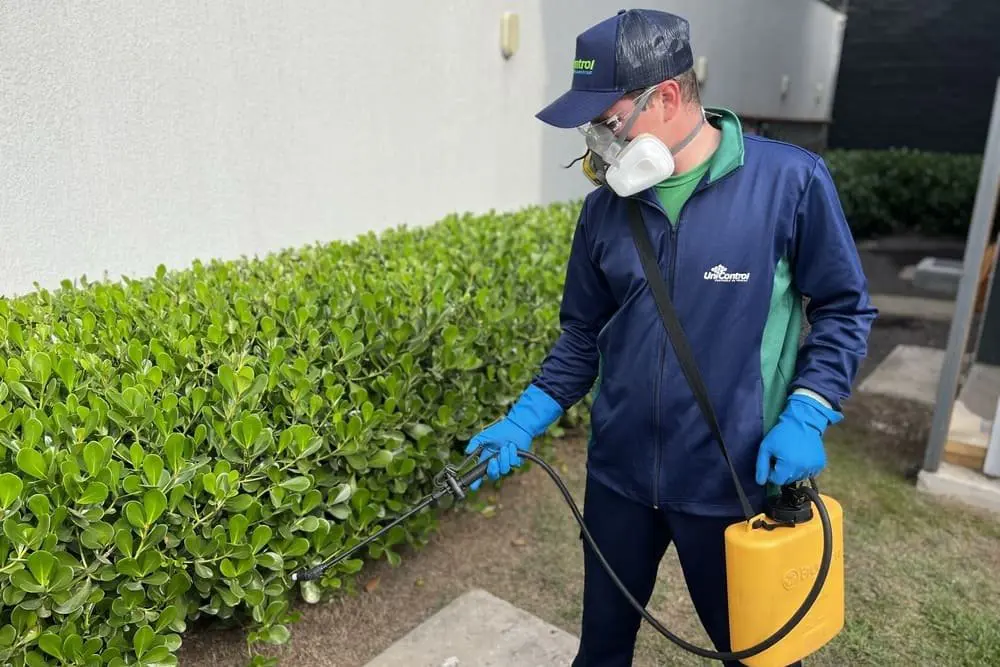 Serviço de Dedetização Unicontrol na Bela Vista em Porto Alegre